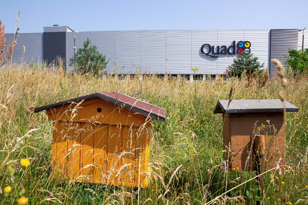 Quad bee houses Quad bee houses